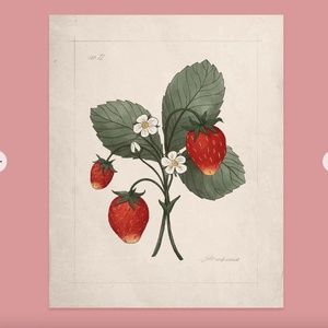 Jilly Box Wild Strawberry Print - Create your own Jilly box bundle to save!